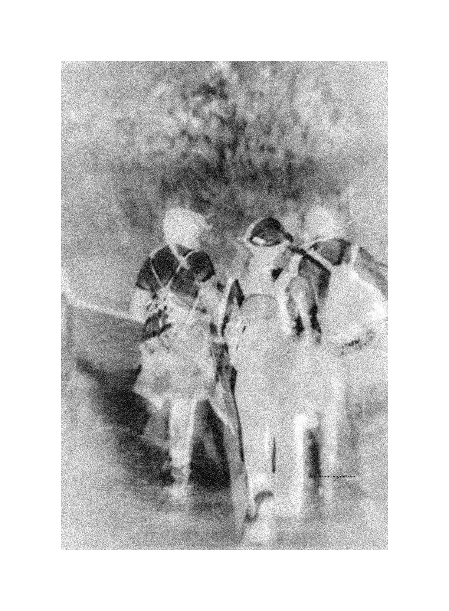 È strano vagare nella nebbia...!!!